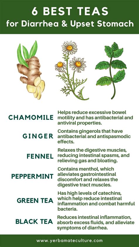 Tea For Upset Stomach