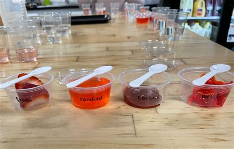 Team Operations Finance Innovation Quality Productdevelopment