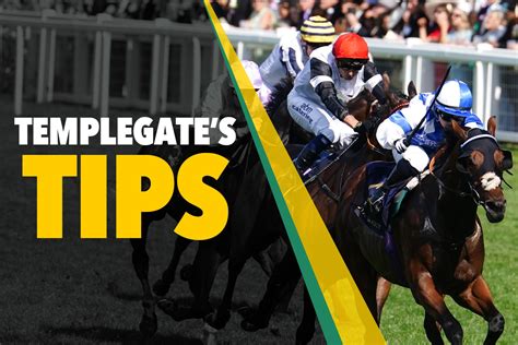 Templegate Makes Bets On Horse Racing How To Beat The Bookmakers All The Latest News Today 112 Ua