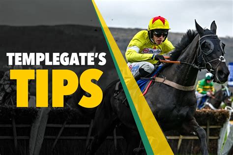 Templegate Reveals His Bets On The Winners Of The Races On Tuesday All The Latest News Today 112 Ua