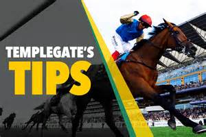 Templegate's Tips