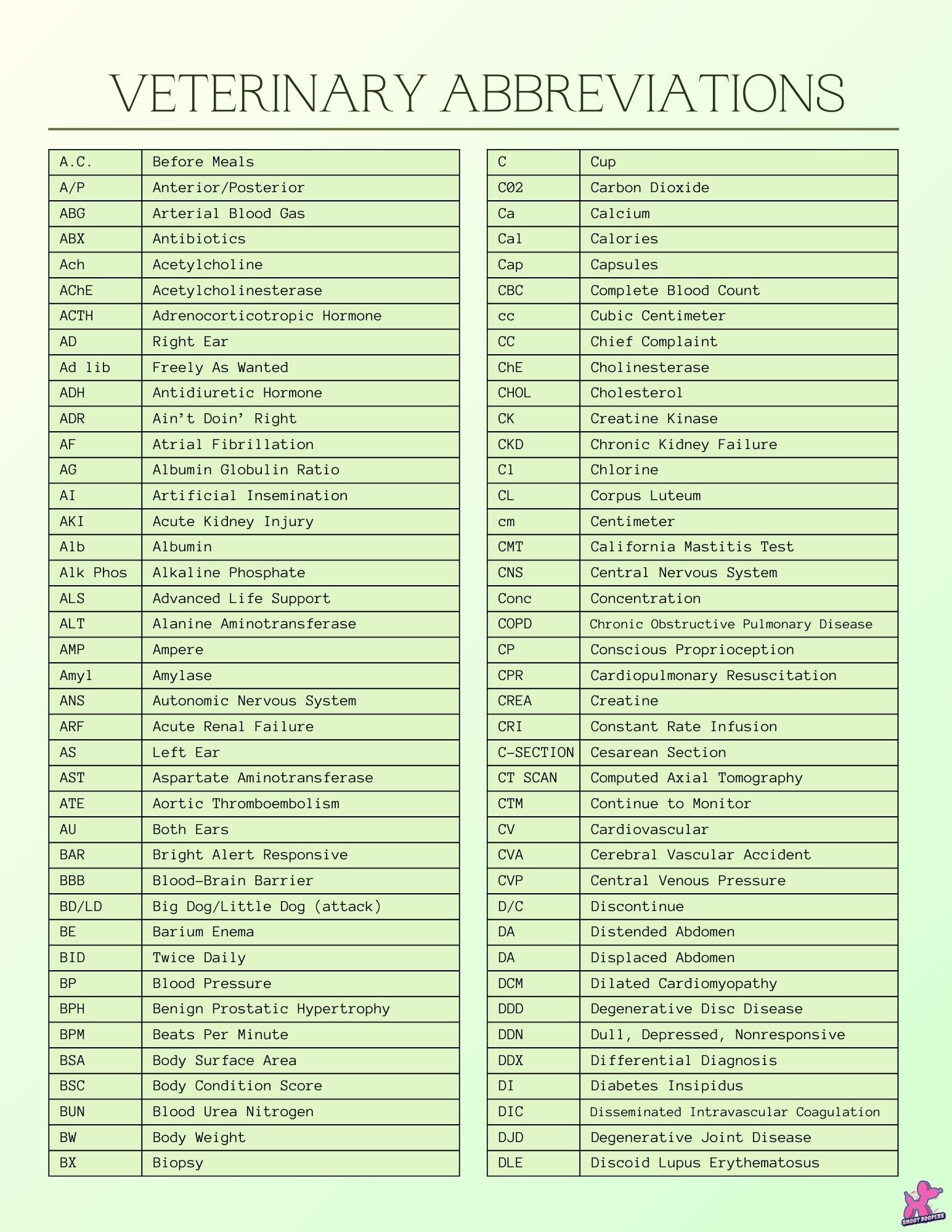 Terminology And Abbreviations Ppt Download