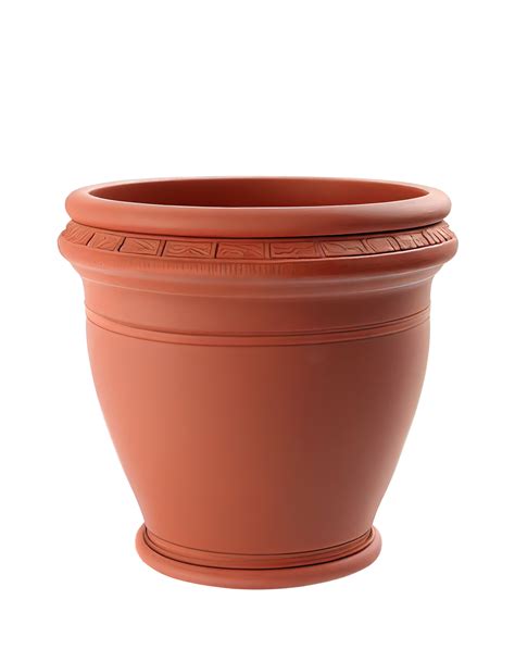 Decorative Ideas and Care Tips for Your Terracotta Pot