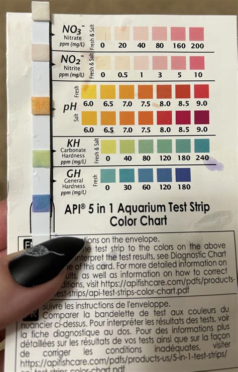 Test Strip Reading R Aquariums