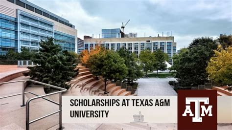 Texas A And M Scholarships