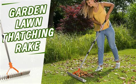 Thatch Rake Your Ultimate Guide To Effective Lawn Care