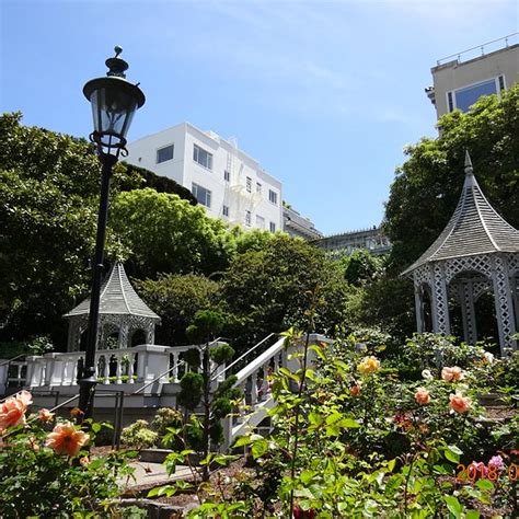 The 10 Best Restaurants Near Fay Park San Francisco Tripadvisor