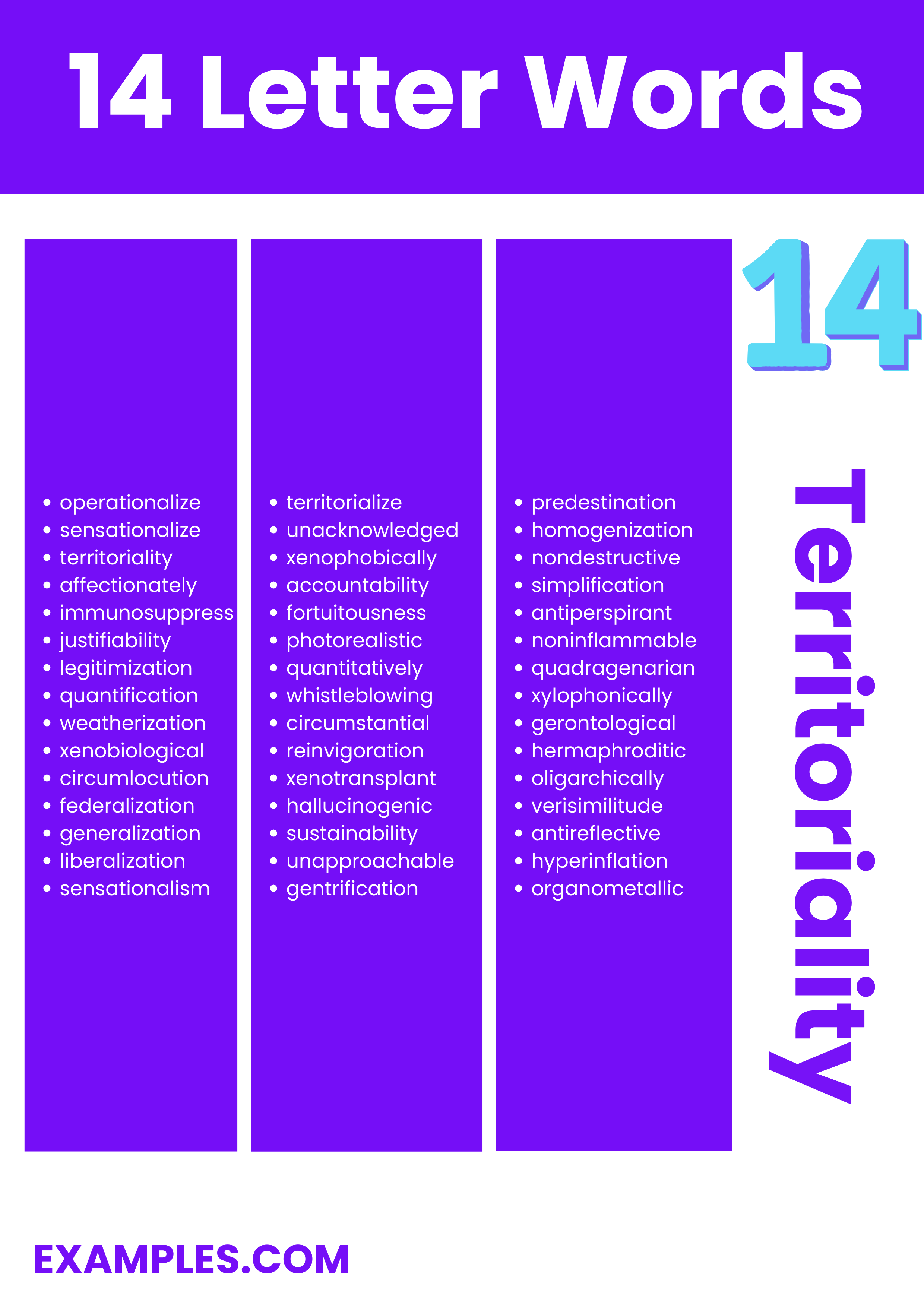 Understanding the 14 Words