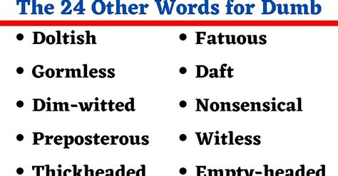 The 24 Other Words For Dumb English Seeker