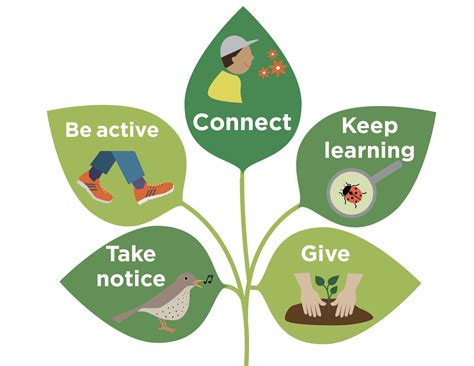 The 5 Ways To Wellbeing In Nature The 5 Ways To Wellbeing In Nature