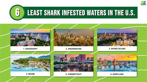 The 6 Least Shark Infested Waters In The United States