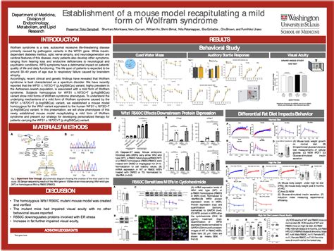 The Ashkenazi Jewish Variant By Toko Campbell The Snow Foundation