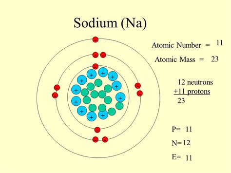 The Atomic Number Of Sodium Is 11 And Its Mass Number Is 23 It Has The Atomic Number Of Sodium Is 11 And Its Mass Number Is 23 It Has