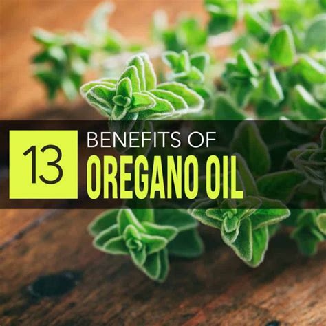 The Benefits Of Oil Of Oregano Capsules Twobabox Com