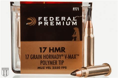 The Best 17 Hmr Ammo Chosen By Experts At Ammo Com