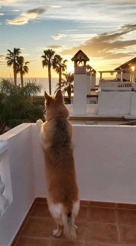 The Best Chilton Sights Historical Landmarks To Visit 2025