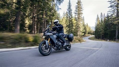 The Best Motorcycles For Short Riders In Every Category Revzilla