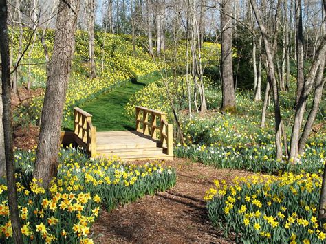 The Best Of Ball Ground Ga Updated For 2026 Home Of Gibbs Gardens