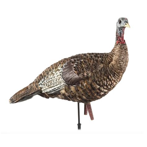 The Best Turkey Hunting Gifts Of 2025