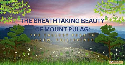 The Breathtaking Beauty Of Mount Pulag The Tallest Peak In Luzon