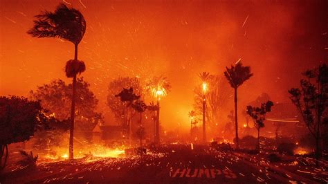 The Causes And Consequences Of California S Wildfires Uab Institute