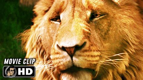 The Chronicles Of Narnia The Lion The Witch And The Wardrobe Clip