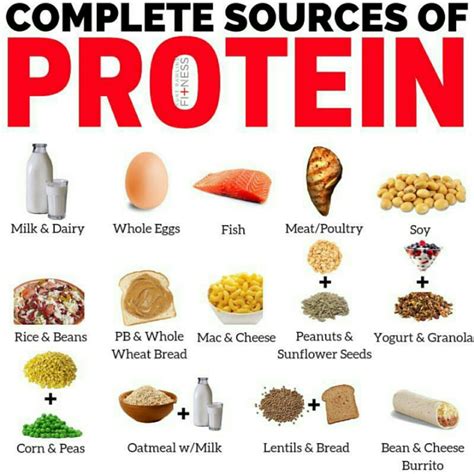 The Complete Sources Of Protein Comment Your Favorite One High