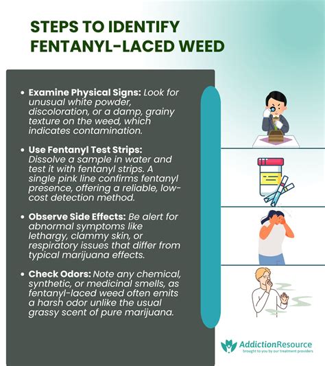 The Dangers Of Fentanyl Laced Marijuana Gallus