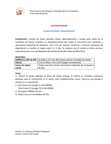 The Definitive Guide To Amp Quot Has Amp Quot Amp Quot Have Amp Quot And Amp Quot Had Amp Quot