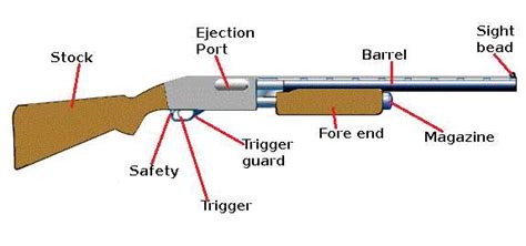 The Essential Guide To Understanding The Parts Of A Shotgun Diagram