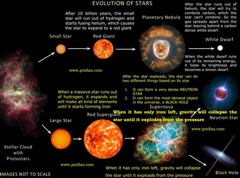The Formation Of White Dwarf Stars Stellar Evolution