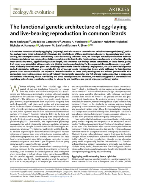 The Functional Genetic Architecture Of Egg Laying And Live Bearing Reproduction In Common Lizards Research Communities By Springer Nature The Functional Genetic Architecture Of Egg Laying And Live Bearing Reproduction In Common Lizards Research Communities By Springer Nature