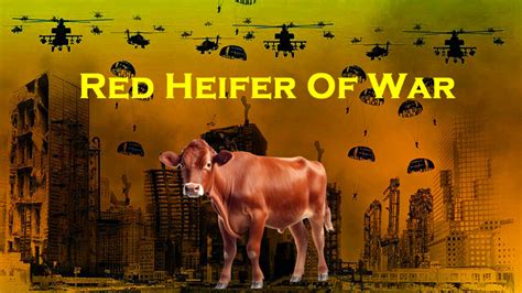 The Gaza War And The Red Heifer