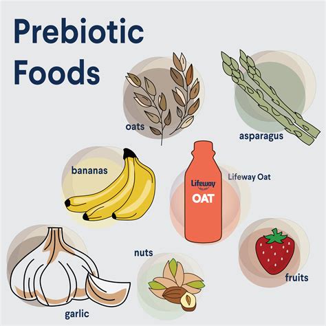 The Importance Of Prebiotics Lifeway Kefir The Importance Of Prebiotics Lifeway Kefir