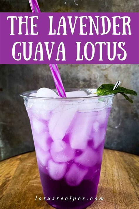 The Lavender Guava Lotus Lotus Recipe Torani Syrup Recipes Energy The Lavender Guava Lotus Lotus Recipe Torani Syrup Recipes Energy