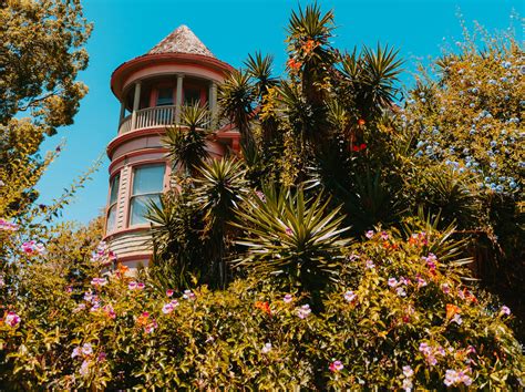 The Local Amp 39 S Guide To Golden Hill San Diego San Diego Magazine