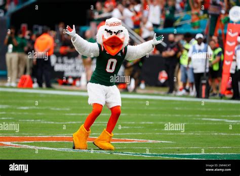 The Miami Mascot Performs During The First Half Of An Ncaa College The Miami Mascot Performs During The First Half Of An Ncaa College