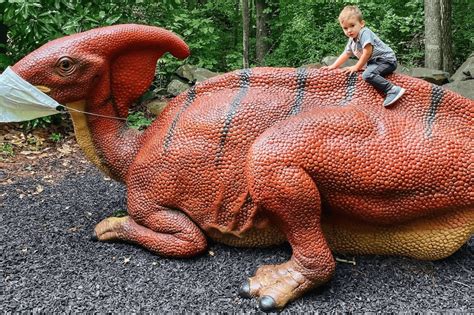 The Museum Of Life And Science Sparks Curiosity In Durham Nc Eat Play The Museum Of Life And Science Sparks Curiosity In Durham Nc Eat Play