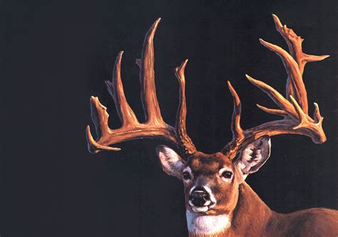 The Mystery Of The Ahrens Buck A World Record Whitetail That Vanished