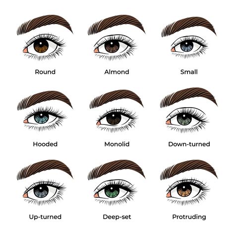 The Perfect Makeup For Your Eye Shape And Colours Makeupview Co