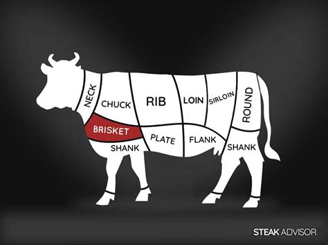 The Primal Cuts Of Beef Brisket