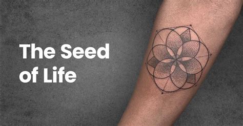 The Seed Of Life Tattoo Symbolism And Significance In Sacred Geometry The Seed Of Life Tattoo Symbolism And Significance In Sacred Geometry