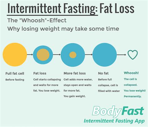 The Seven Biggest Mistakes In Intermittent Fasting Bodyfast App We