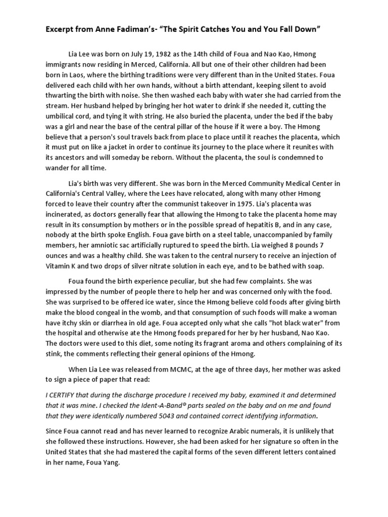 The Spirit Catches You Falls