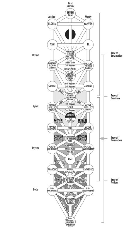 The Tree Of Life Welcome To The International Kabbalah Society The Tree Of Life Welcome To The International Kabbalah Society