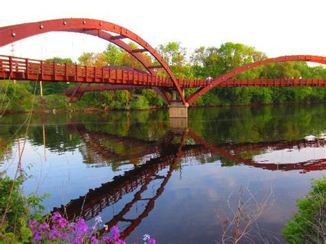 The Tridge Midland Road Trip Owl The Tridge Midland Road Trip Owl