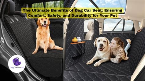 The Ultimate Benefits Of Dog Car Seat Ensuring Comfort Safety And Durability For Your Pet