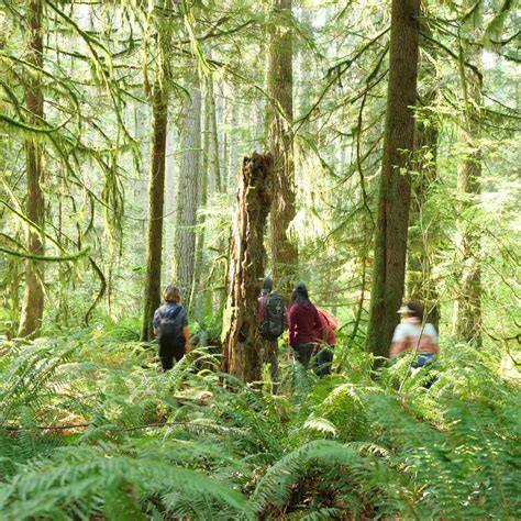 The Ultimate Dining Guide To The Best Food In Seattle Eater Seattle The Ultimate Dining Guide To The Best Food In Seattle Eater Seattle