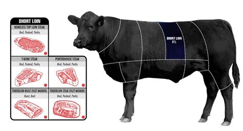 The Ultimate Guide To Beef Cuts Business Insider
