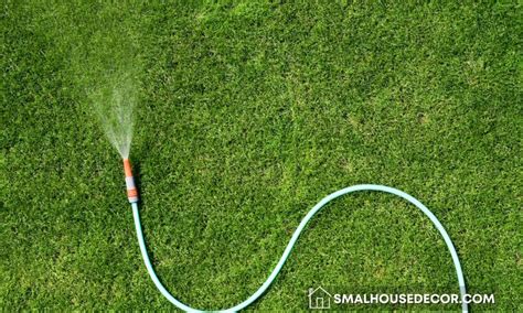 The Ultimate Guide To Buying And Maintaining Garden Hoses Small House
